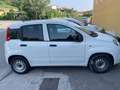 Fiat Panda Van Weiß - thumbnail 2