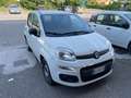 Fiat Panda Van Weiß - thumbnail 12