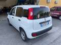 Fiat Panda Van Weiß - thumbnail 15