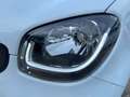 smart forFour passion Klimaaut./Faltdach/Tempomat/Sitzheizung Weiß - thumbnail 20