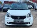 smart forFour passion Klimaaut./Faltdach/Tempomat/Sitzheizung Weiß - thumbnail 2