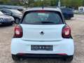 smart forFour passion Klimaaut./Faltdach/Tempomat/Sitzheizung Weiß - thumbnail 6