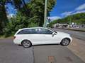 Mercedes-Benz C 220 T-Modell Klima Isofix Sitzheizung Alu Bianco - thumbnail 4