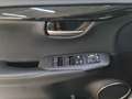 Lexus NX 300 NX Hybrid 4WD Executive - thumbnail 13