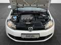 Volkswagen Golf VI Variant Trendline*2.HAND*NAVI*KLIMA*AHK* Weiß - thumbnail 16