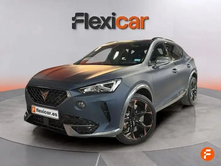 Cupra Formentor 2.0 TSI 4Drive DSG 2020, foto 8