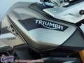 Triumph Tiger 900 Rally Pro EU5 Sandstorm+Matt Khaki - thumbnail 2
