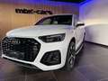 Audi Q5 40 TDI quattro S line *21 Zoll, AHK* Weiß - thumbnail 8