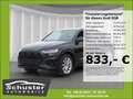 Audi SQ8 4.0TFSI*StandHzg 360°Ka B&O Luftfed el.Sitze Schwarz - thumbnail 1