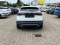 Volkswagen Taigo Style 1,5l TSI 110 PS 7-Gang-DSG Blanc - thumbnail 7