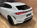 Lamborghini Urus 4.0 V8 S Wit - thumbnail 6