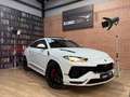 Lamborghini Urus 4.0 V8 S Wit - thumbnail 2