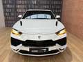 Lamborghini Urus 4.0 V8 S Wit - thumbnail 10