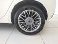 Lancia Ypsilon Ypsilon 1.3 MJT 16V 95 CV 5 porte S&S Platinum Weiß - thumbnail 7