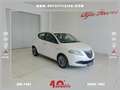 Lancia Ypsilon Ypsilon 1.3 MJT 16V 95 CV 5 porte S&S Platinum Weiß - thumbnail 1