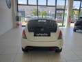 Lancia Ypsilon Ypsilon 1.3 MJT 16V 95 CV 5 porte S&S Platinum Weiß - thumbnail 5