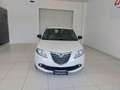 Lancia Ypsilon Ypsilon 1.3 MJT 16V 95 CV 5 porte S&S Platinum Weiß - thumbnail 2