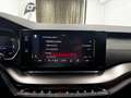 Skoda Octavia 2.0 TDI DPF RS Blau - thumbnail 22