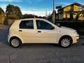 Fiat Punto Punto 5p 1.2 Classic Active NEOPATENTATI White - thumbnail 4