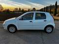 Fiat Punto Punto 5p 1.2 Classic Active NEOPATENTATI White - thumbnail 5