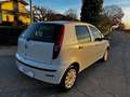 Fiat Punto Punto 5p 1.2 Classic Active NEOPATENTATI White - thumbnail 6