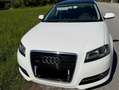 Audi A3 A3 SB quattro Ambition 2,0 TDI DPF Ambition Weiß - thumbnail 3