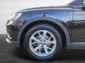 Audi Q3 35 TDI S tronic NaviPlus AHK APS GRA SHZ Standh... Nero - thumbnail 6