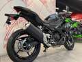 Kawasaki Noir - thumbnail 5
