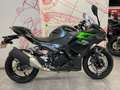 Kawasaki Noir - thumbnail 1