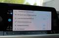 Volkswagen Golf VIII 2.0 TDI DSG Move Grau - thumbnail 31