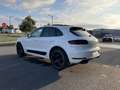 Porsche Macan (95B) 3.0 V6 258CH S DIESEL PDK Bianco - thumbnail 7