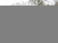 Kia Sportage Edition 7 Emotion AHK Grau - thumbnail 5