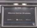 MAN TGE 3.140 9-Sitzer TDI*R-Kam 3-Zon-Klima Bluetoo Silber - thumbnail 14