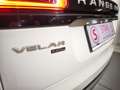 Land Rover Range Rover Velar P400e PHEV Allrad Aut. Weiß - thumbnail 12