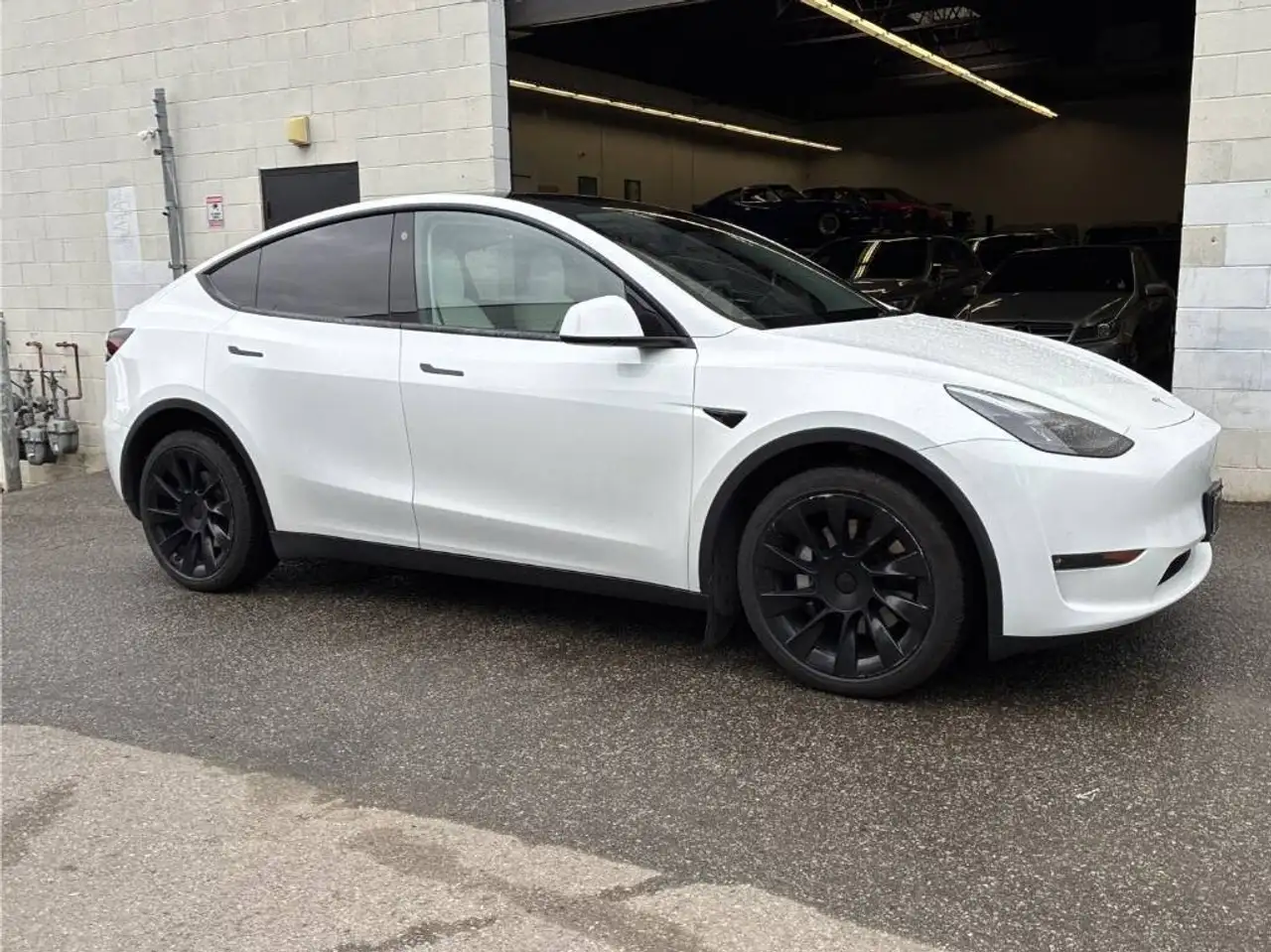 Tesla Model Y fotografie Tesla Model Y