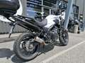 Honda CB 500 Fehér - thumbnail 6