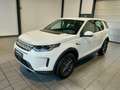 Land Rover Discovery Sport 2.0 D165 AHK|CAM|LED|Allrad Weiß - thumbnail 3