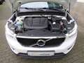 Volvo XC40 2WD // Virtual/Kamera/AHK/LED/SHZ Blanc - thumbnail 6