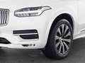 Volvo Sonstige XC90 B5 Diesel AWD Plus Bright 20"+PANO+STANDHZG Weiß - thumbnail 9