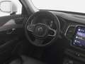 Volvo Sonstige XC90 B5 Diesel AWD Plus Bright 20"+PANO+STANDHZG Weiß - thumbnail 4