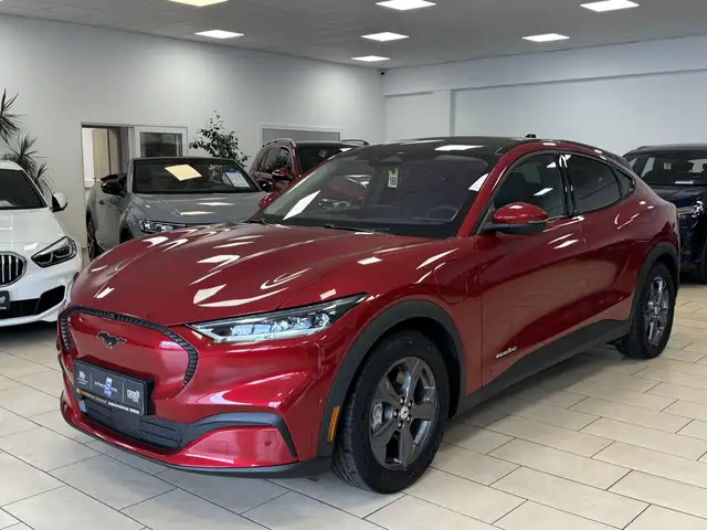 Ford M 75 kWh Pano Leder LED Navi R.Cam ACC PDC