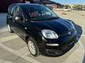 Fiat Panda 1.2 Easy 69cv Euro 6 UNIPRO! LEGGI ANNUNCIO! Schwarz - thumbnail 7