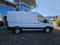 Ford Transit 350 L2H2 Lkw VA Trend Weiß - thumbnail 2