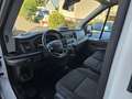 Ford Transit 350 L2H2 Lkw VA Trend Weiß - thumbnail 10
