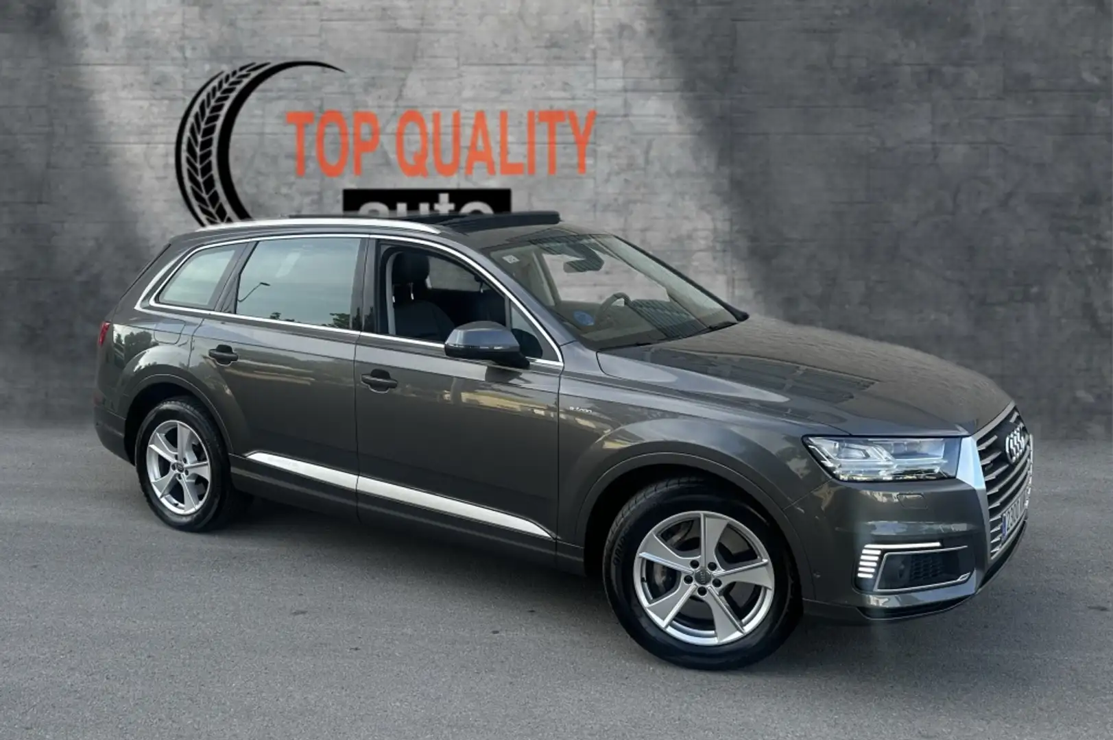 Audi Q7 3.0TDI e-tron quattro Tiptronic Gris - 2