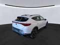 CUPRA Formentor 2.0 TDI DSG 4Drive|Full Link|RFK|ACC - thumbnail 2