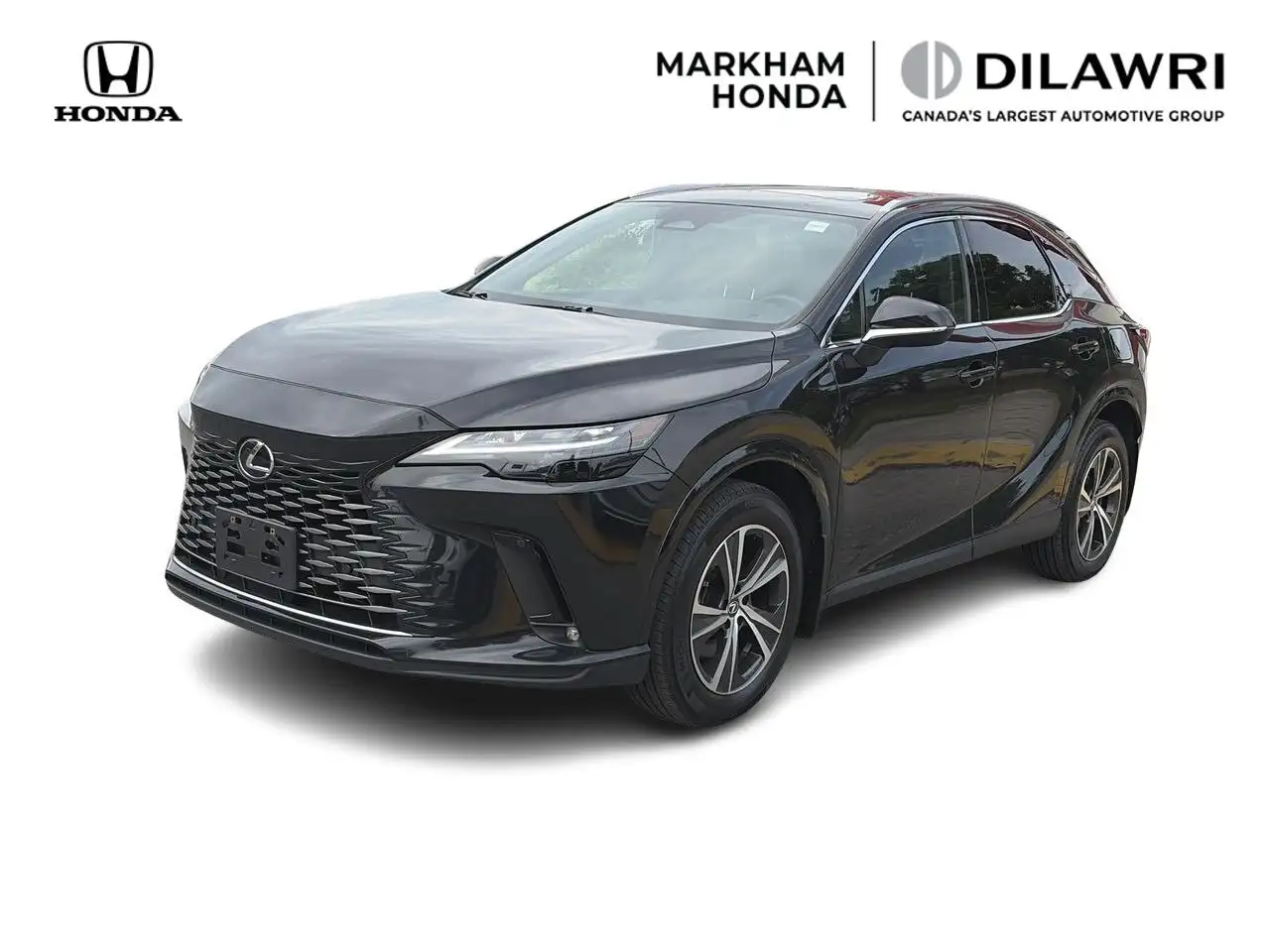 2024 Lexus RX