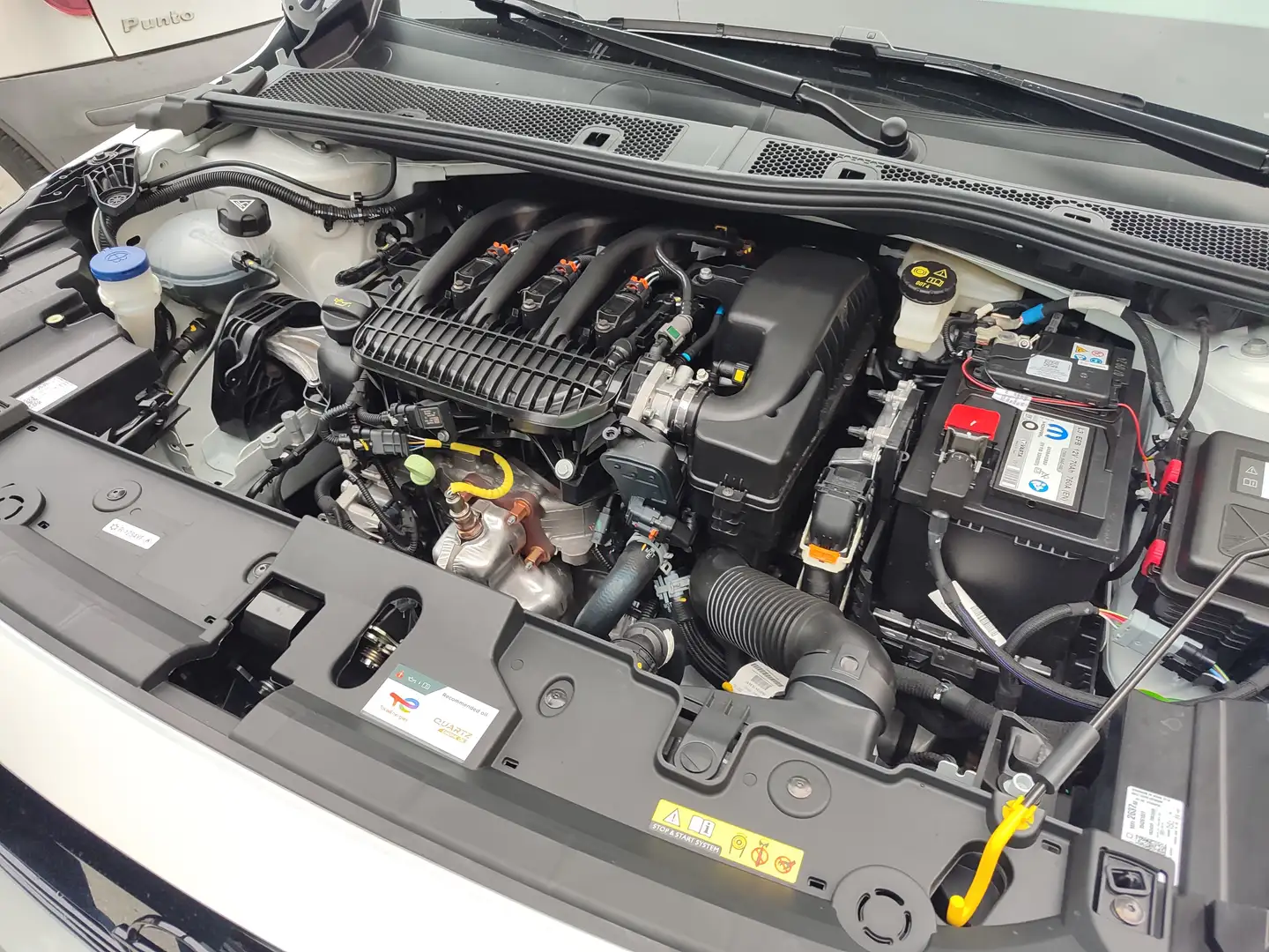 Opel Corsa Corsa VI 2023 1.2 Edition s Bianco - 1