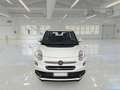 Fiat 500L COMBI MIRROR 1.3 MJT 95 cv E6D-temp 4p. N1 PRO AUTOCARRO - thumbnail 2