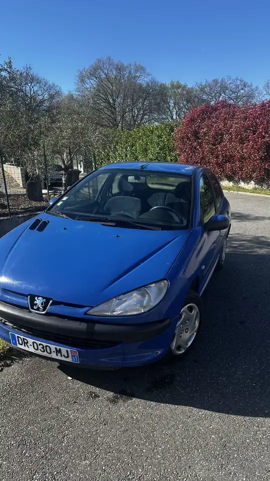 Peugeot 206 1.9 d, foto 3